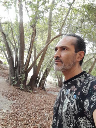 عکس تفرج گاه شب شتری