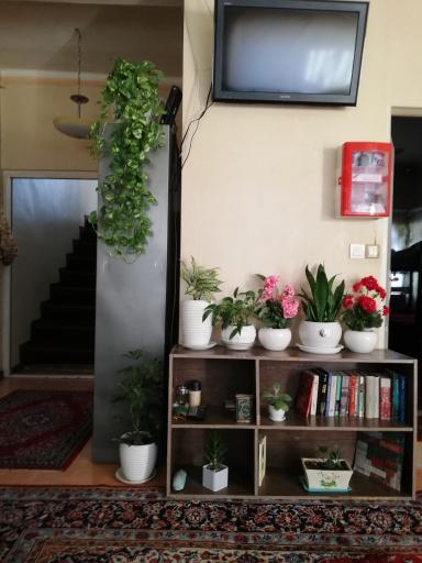 عکس پانسیون یکتا