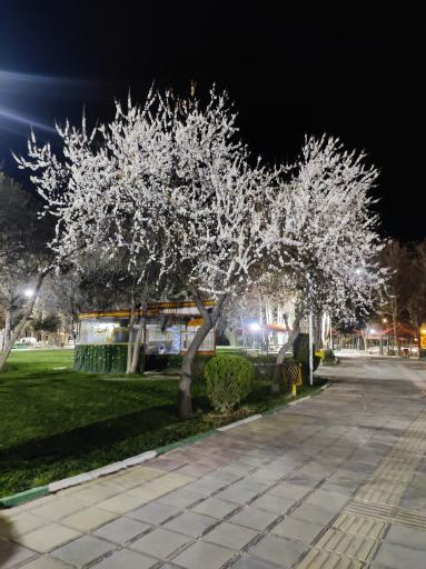 عکس پارک چغا