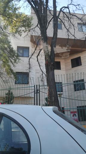 عکس بیمارستان چشم پزشکی خاتم الانبیا