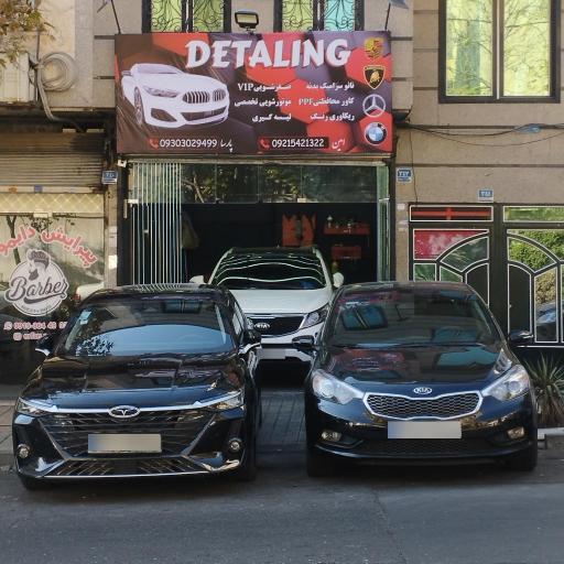 لارما دیتیلینگ