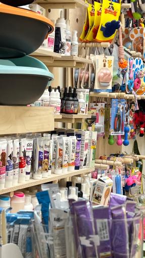 عکس پت شاپ پنی