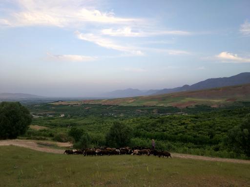 عکس پارک چغا