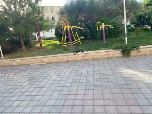 عکس بوستان شقایق مهر (سعادت آباد)