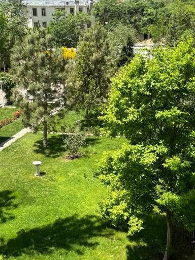 عکس بوستان شقایق مهر