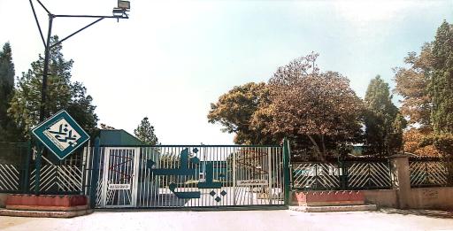 عکس شرکت پلی اتیلن تک سیرجان 