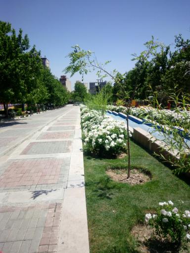 عکس بوستان شقایق مهر (سعادت آباد)