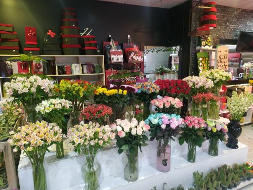 عکس خانه گل