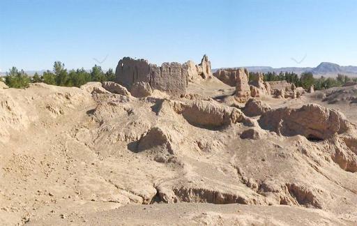 عکس قلعه نهبندان