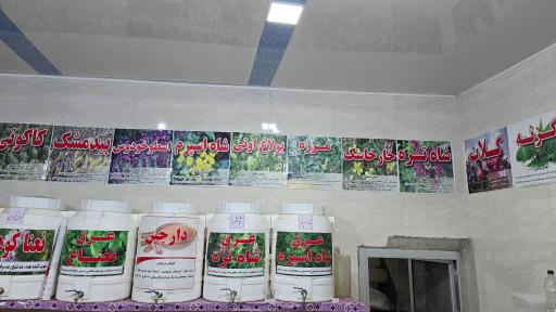 عکس فروشگاه گیاهان دارویی فیضی