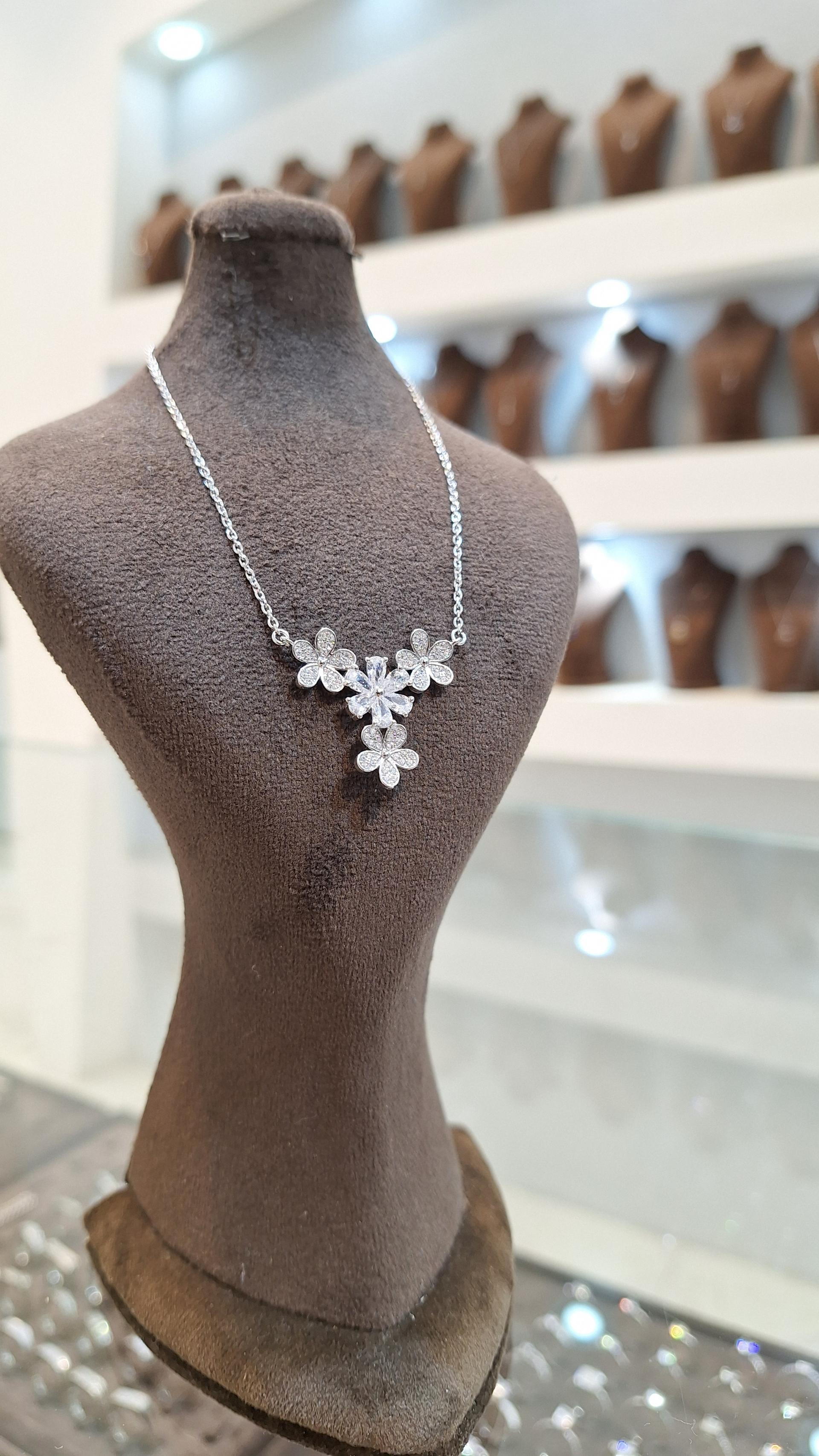 عکس نقره پریسا