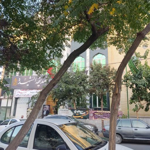 عکس  بهاران 14