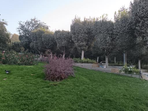 عکس بوستان نیاوران درب جنوبی