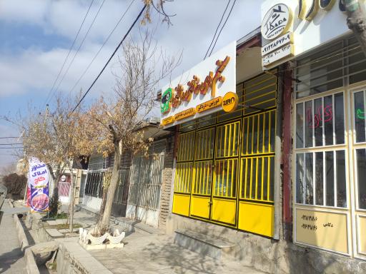 عکس فروشگاه سیستم های حفاظتی و امنیتی آریا