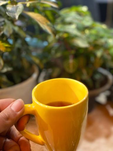 عکس کافه ۱۵