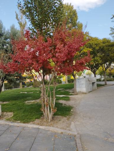 عکس پارک کودکان