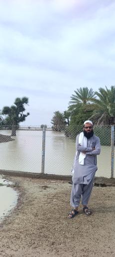 عکس هزاری