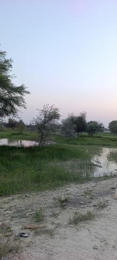 عکس هزاری