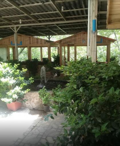 عکس رستوران شقایق