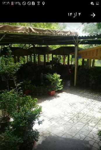 عکس رستوران شقایق