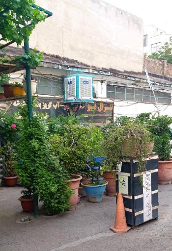 عکس کارواش سانترال نو