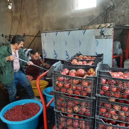 عکس آبگیری و سبزی خردکنی چهارفصل