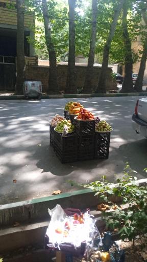 عکس میوه فروشی شفیعی