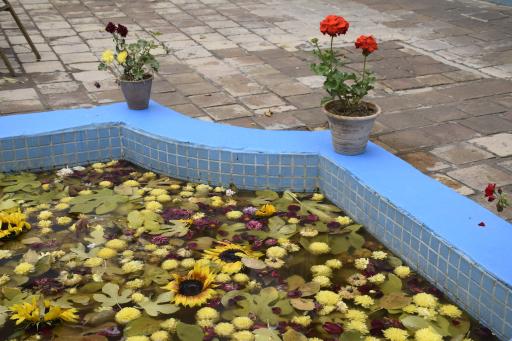 عکس خانه موتمن الاطبا