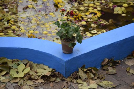 عکس خانه موتمن الاطبا