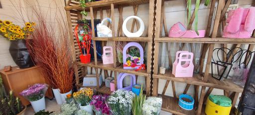 عکس گل سرای ارکا