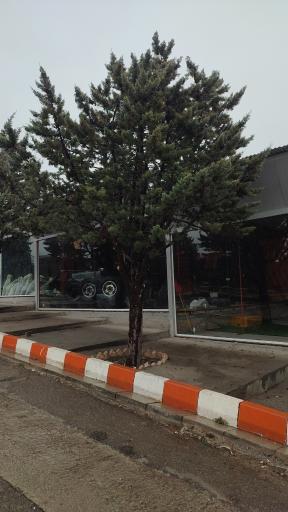 عکس آفرود لینکس دیسکاوری 