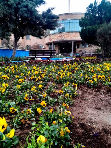 عکس شهرداری منطقه 7 تبریز