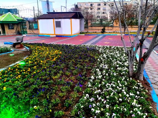 عکس شهرداری منطقه 7 تبریز