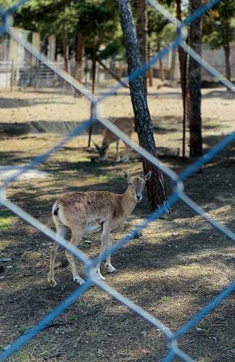 عکس بوستان باغ راز هستی