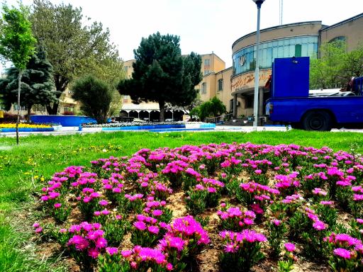 عکس شهرداری منطقه 7 تبریز