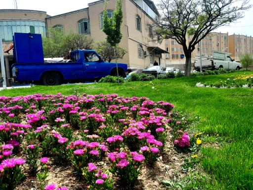 عکس شهرداری منطقه 7 تبریز