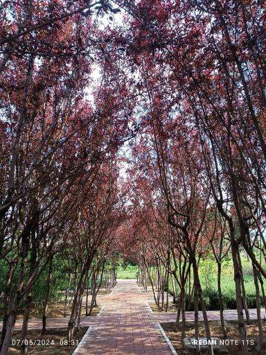 عکس بوستان باغ راز هستی
