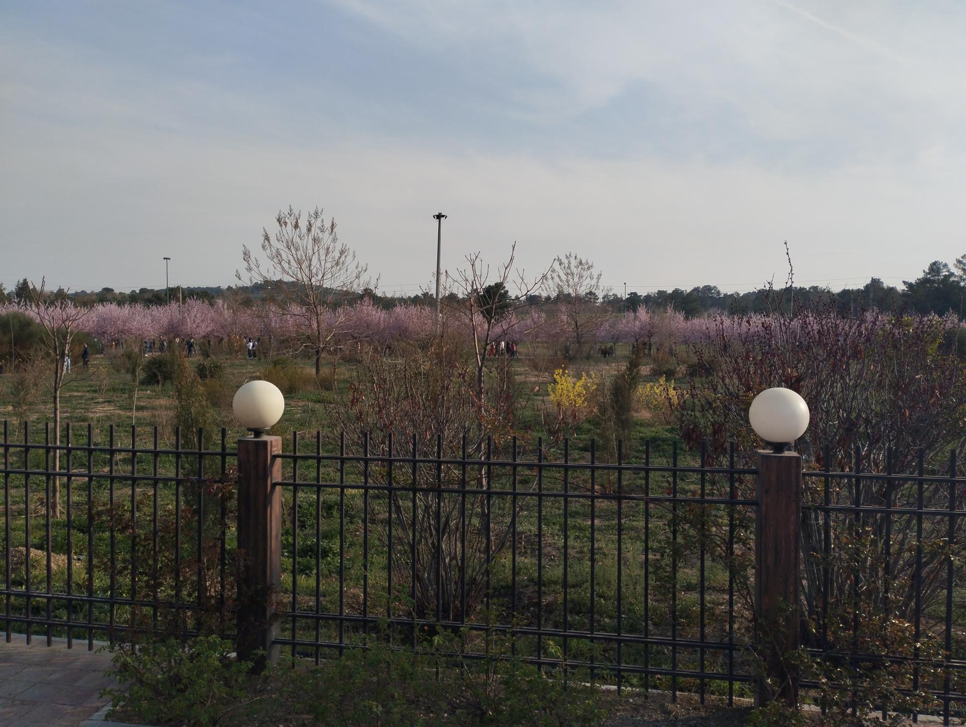 عکس بوستان باغ راز هستی