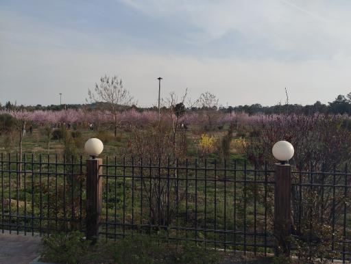 عکس بوستان باغ راز هستی