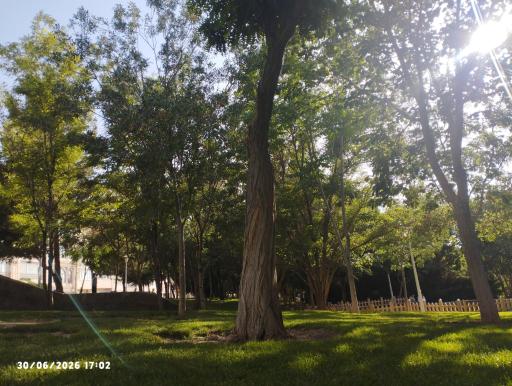 عکس بوستان پاییزان