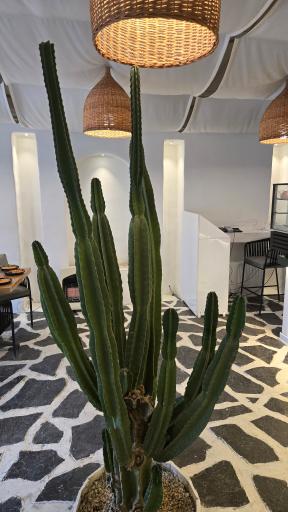 عکس کافی شاپ و رستوران بام دریا