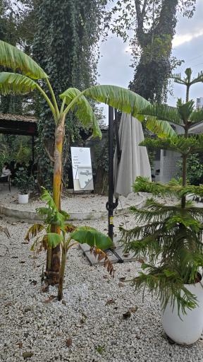 عکس کافی شاپ و رستوران بام دریا