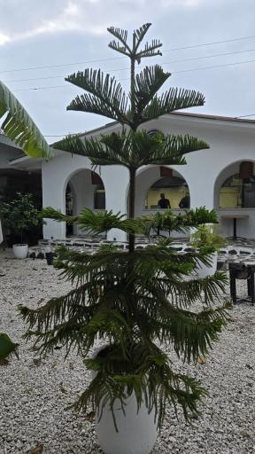 عکس کافی شاپ و رستوران بام دریا