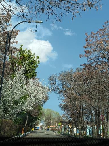 عکس ورودی اصلی پارک ملت زنجان