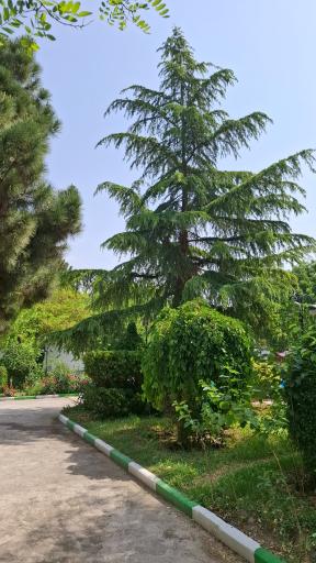 عکس هتل گلستان امام رضا (ع)