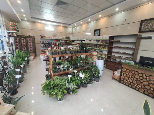 عکس گلدان سرای آبنوس