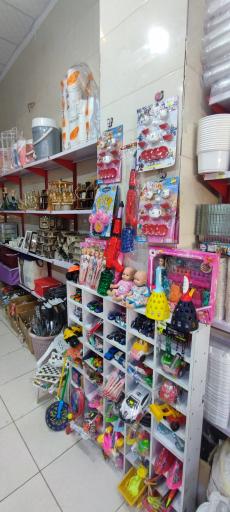 پلاسکو مادر