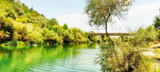 عکس چیتاب