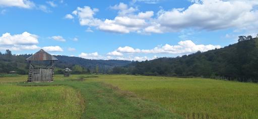 عکس جاذبه گردشگری سوادکوه