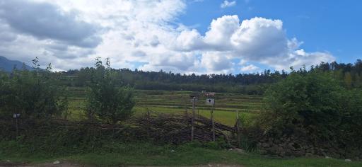 عکس جاذبه گردشگری سوادکوه